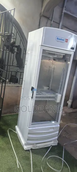 Affordable Scanfrost 300l Beverage Cooler in Nigeria