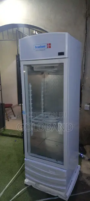 Scanfrost Sfuc300xg Beverage Display Fridge 300l