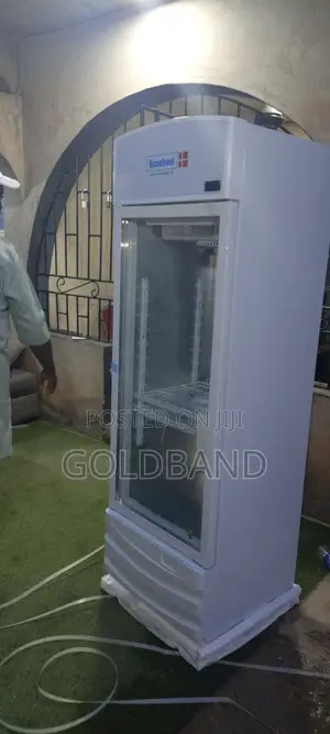 Premium Scanfrost 300l Bottle Cooler With Glass Door