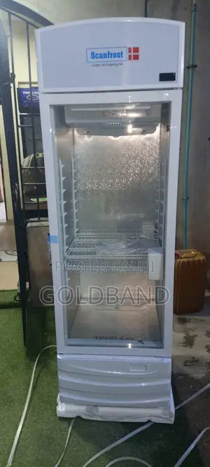 Scanfrost Sfuc300xg Cooler With Spacious Storage