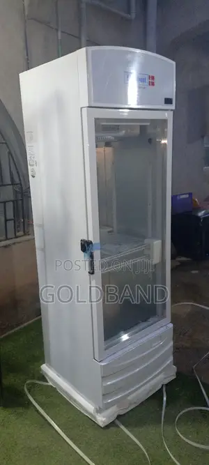 Scanfrost 300l Bottle Cooler for Restaurants and Bars