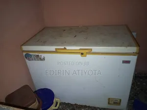 Big Freezer