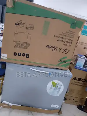 Bona 300 Litres Solar Freezer for Fish Meat