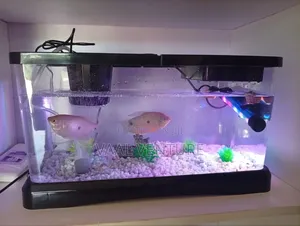 Aquarium ,With Flooring,Light, Oxygen Pump