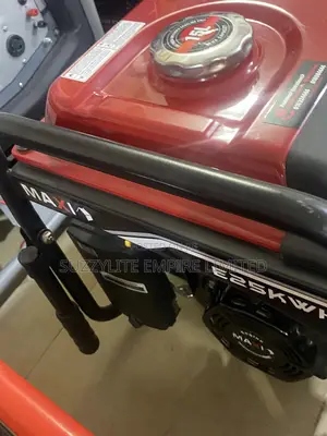 Maxi 2.5 Kilowatt 3.5kva Automatic Generator E25wh