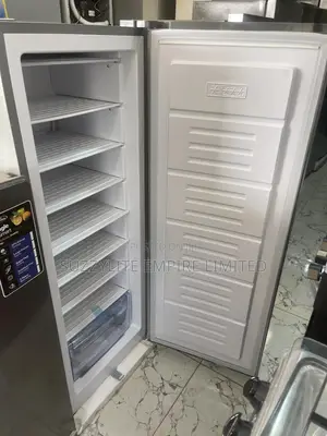 Skyrun Standing Freezer 185 Liters 185h