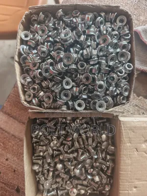 M6*12 Stainless Coach Bolt (304)