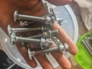 M8*60 Stainless Coach Bolt and Nuts