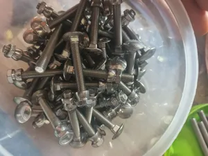 M8*60 Stainless Coach Bolt and Nuts