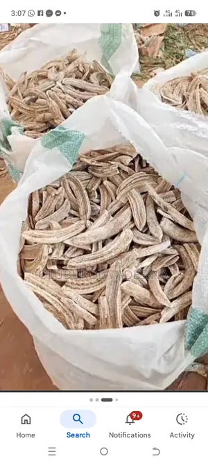 Dried Plantain for the Purpose of Amala