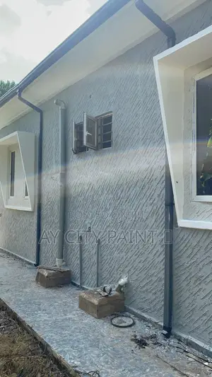 Gravitex Paint