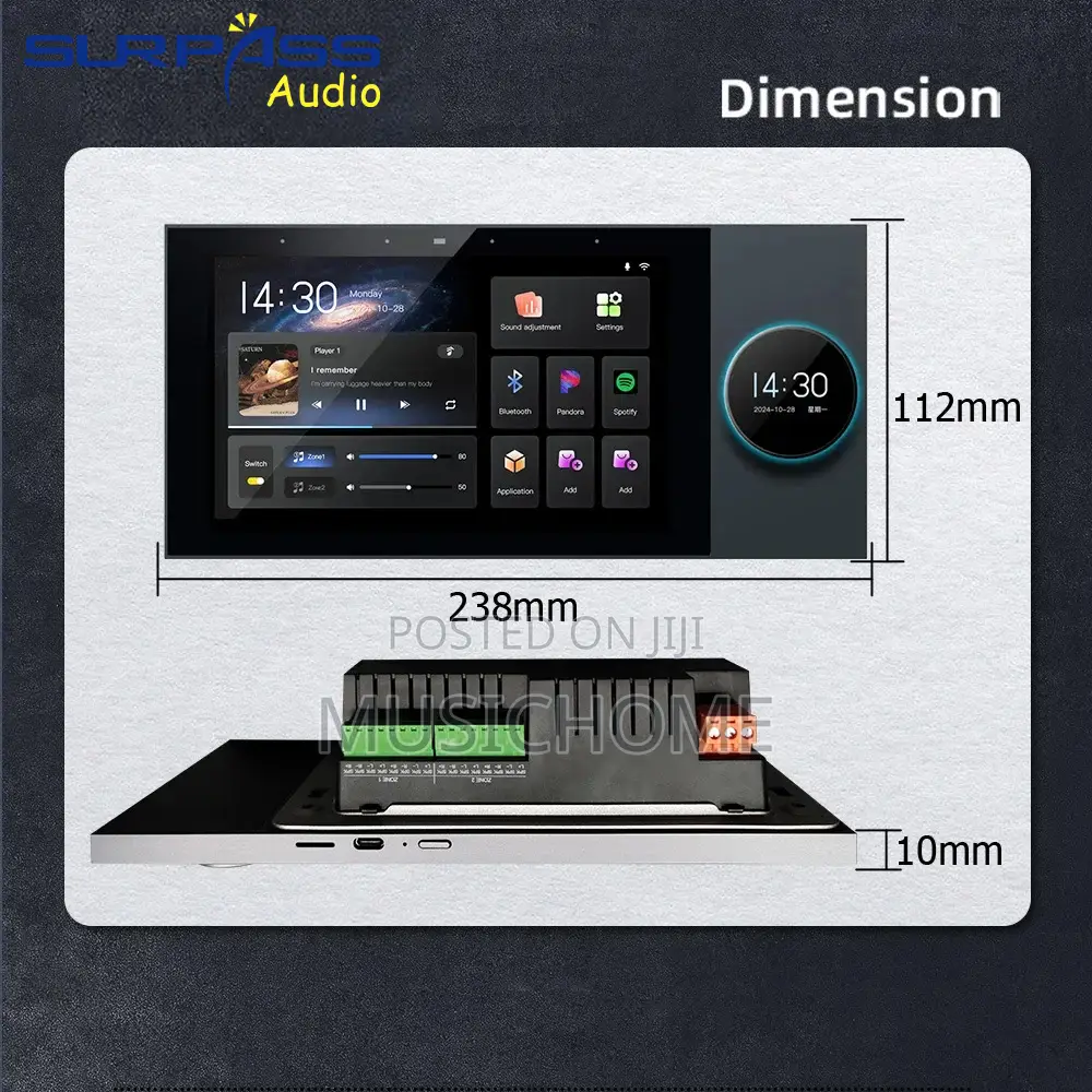 Alexa Smart Home Control Ceiling Speaker Amplifier