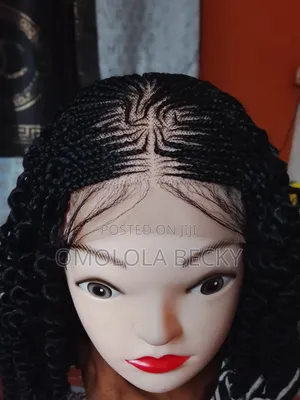 Braided Wig