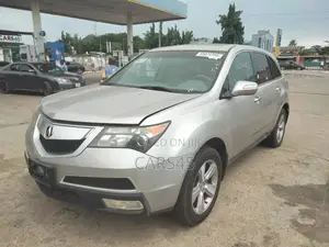 Acura MDX 2010 Gray