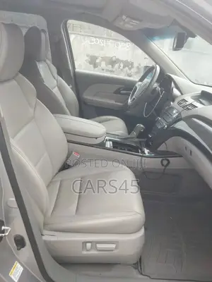 Acura MDX 2010 Gray