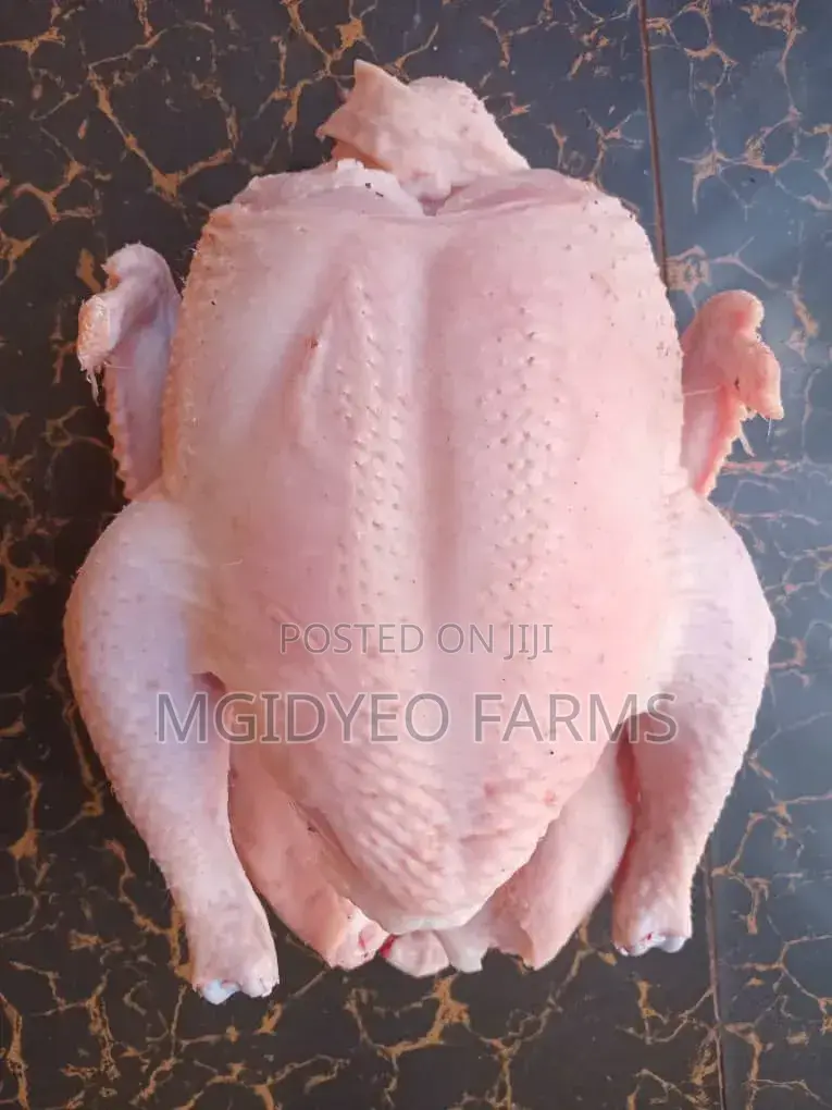 Dressed/Live Broiler Chicken