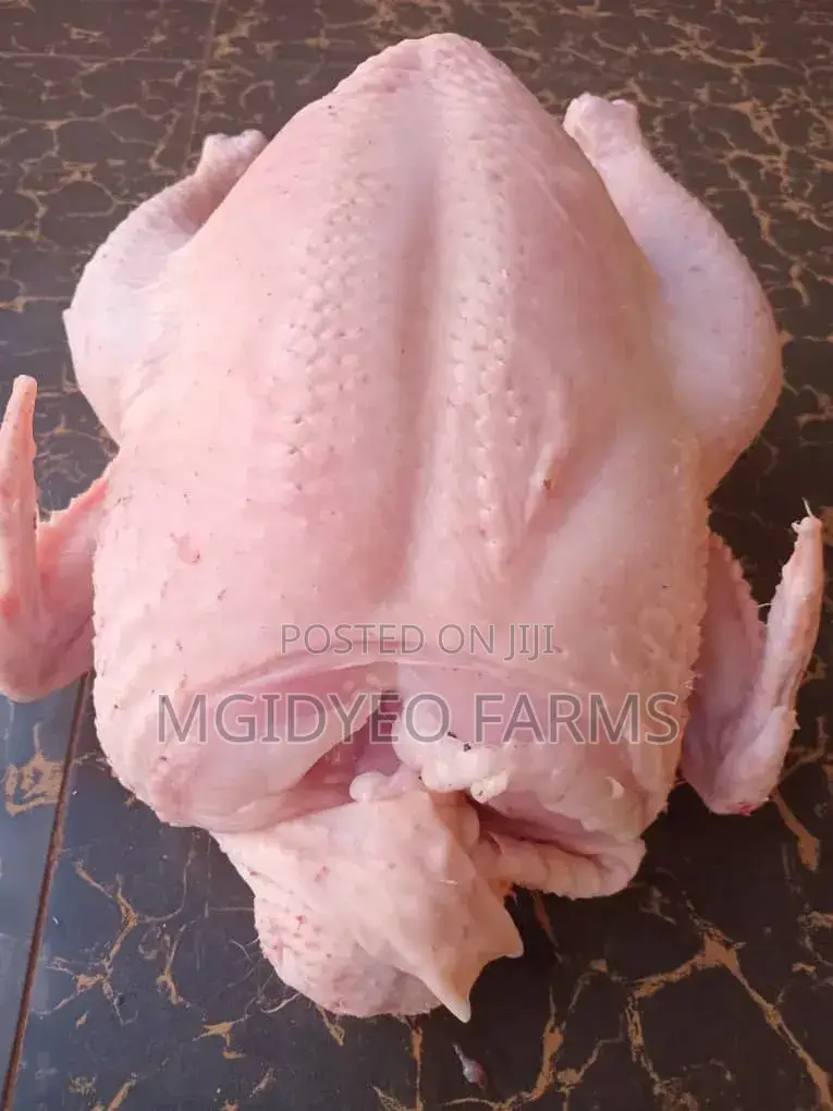 Dressed/Live Broiler Chicken