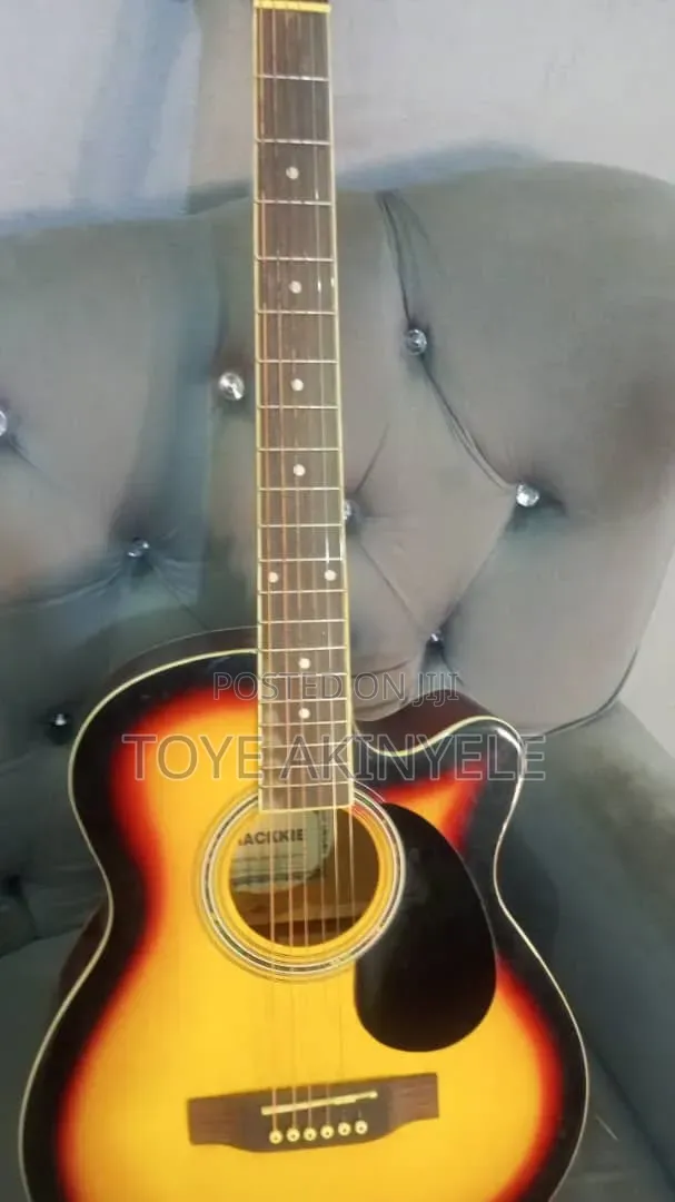 Musical Instrument