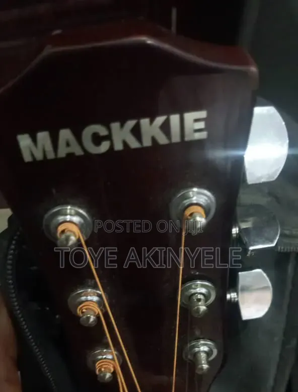 Musical Instrument