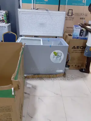 Bona Solar Freezer 300l With Silent Operation