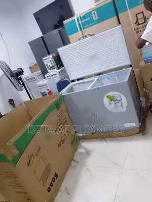 Bona 300l Deep Chest Solar Freezer
