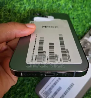 Apple iPhone 13 Pro 256 GB Gray