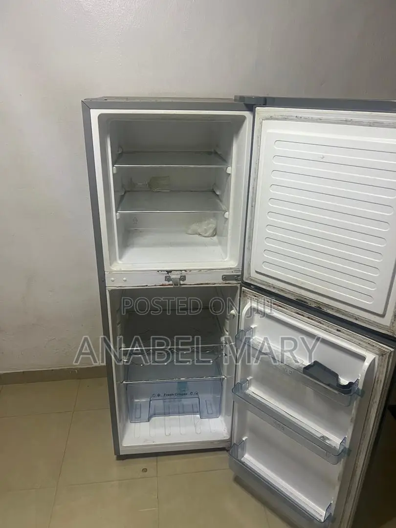 Fridge and Freezer