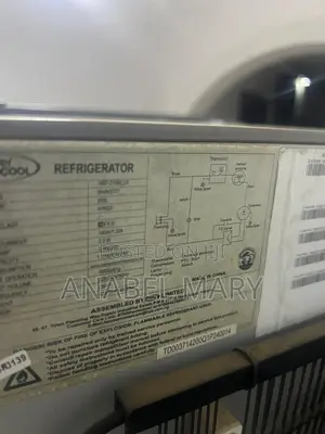 Fridge and Freezer