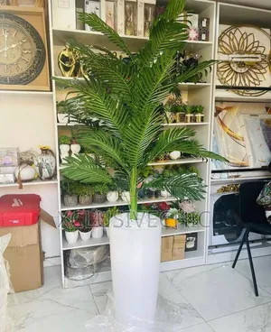 Large Ribbed Planter Pot With Full Palm Plant