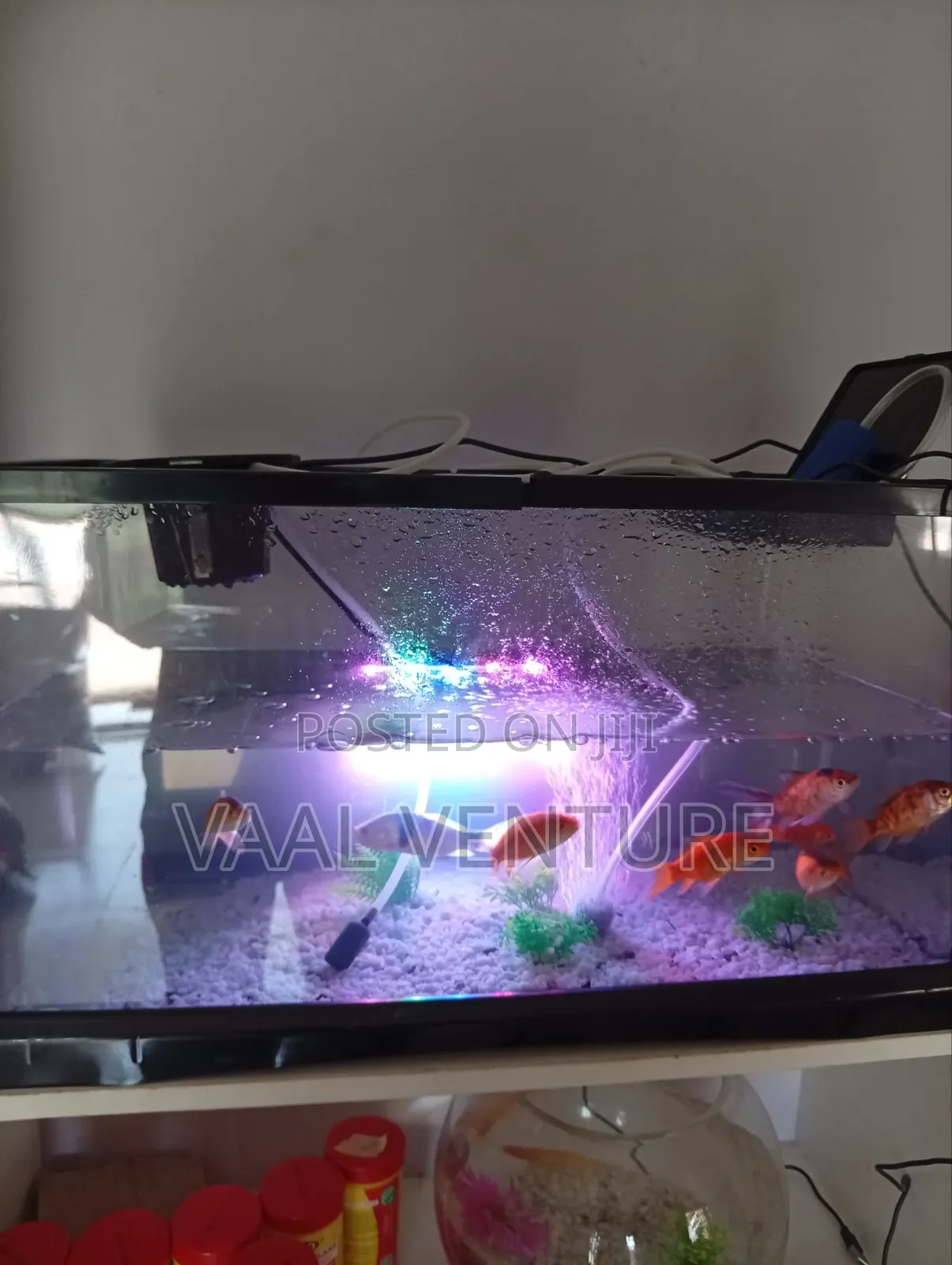 Aquarium ,With Flooring,Light, Oxygen Pump