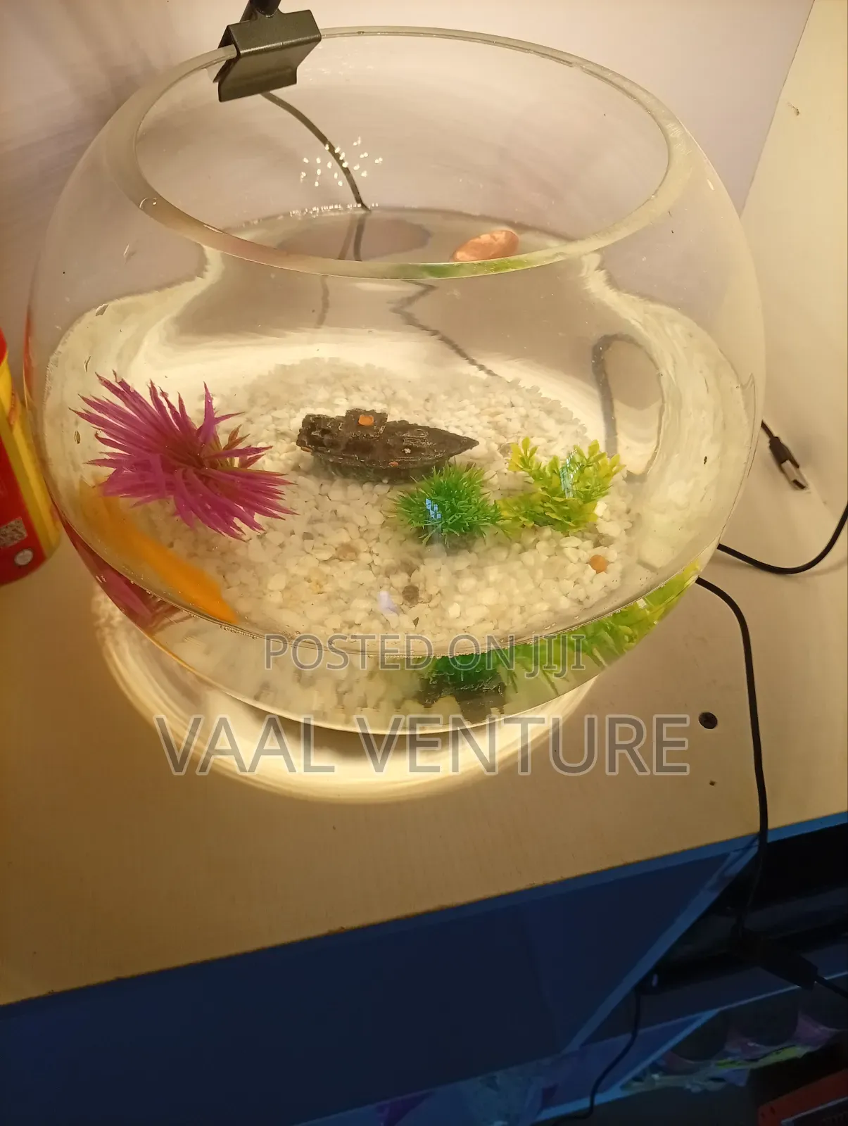 Bowl Aquarium