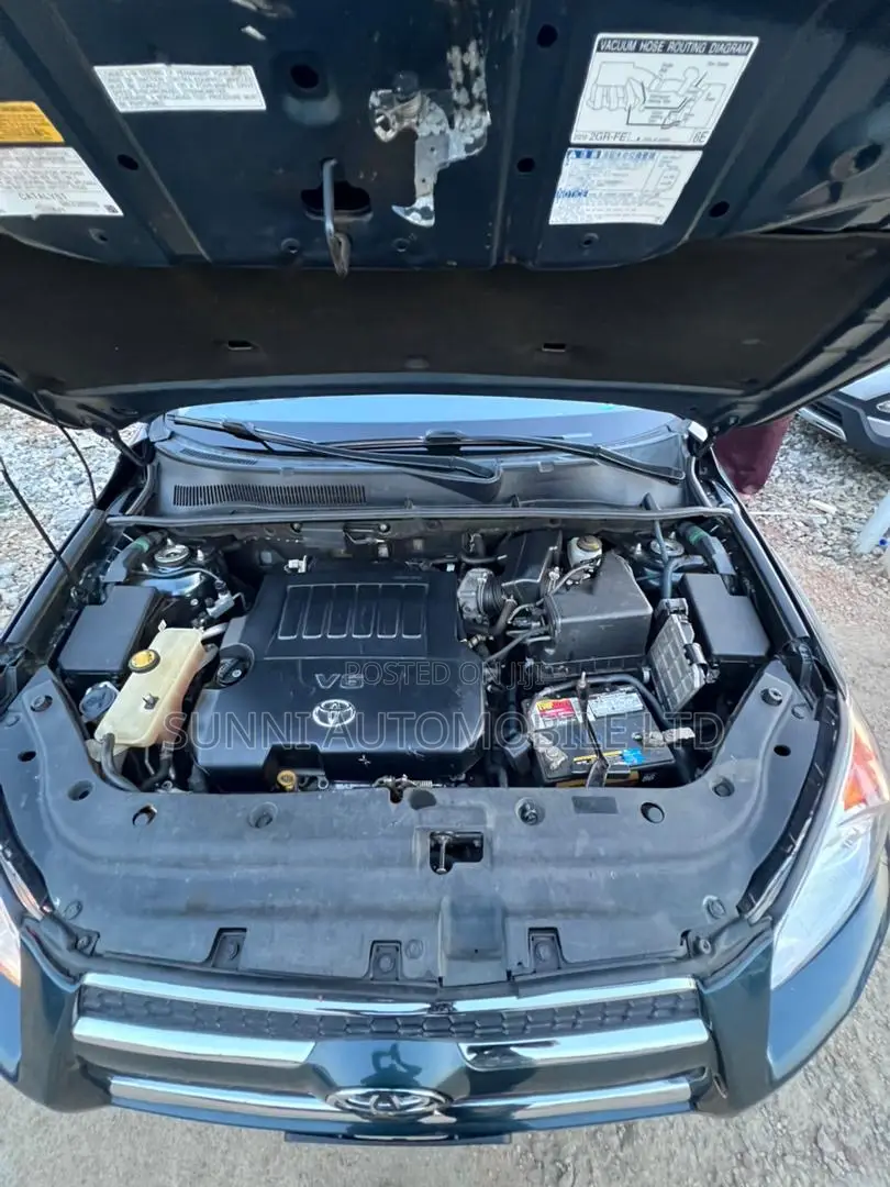 Toyota RAV4 2010 Blue
