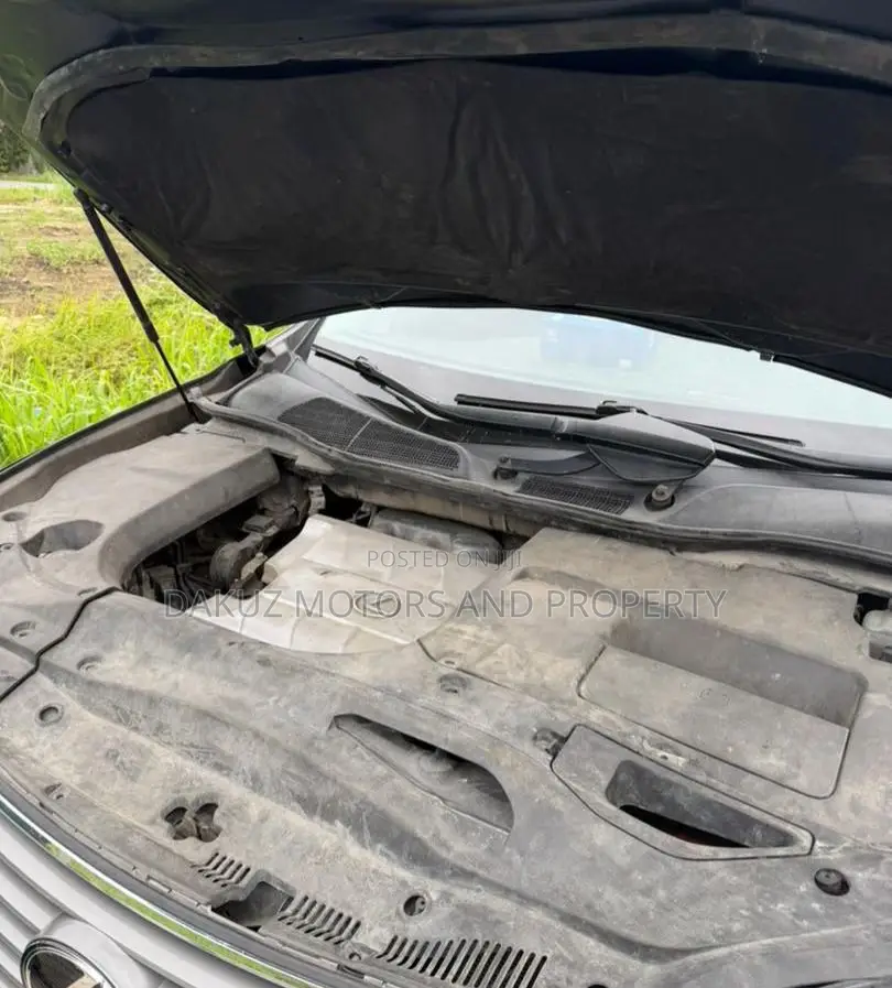 Lexus RX 2010