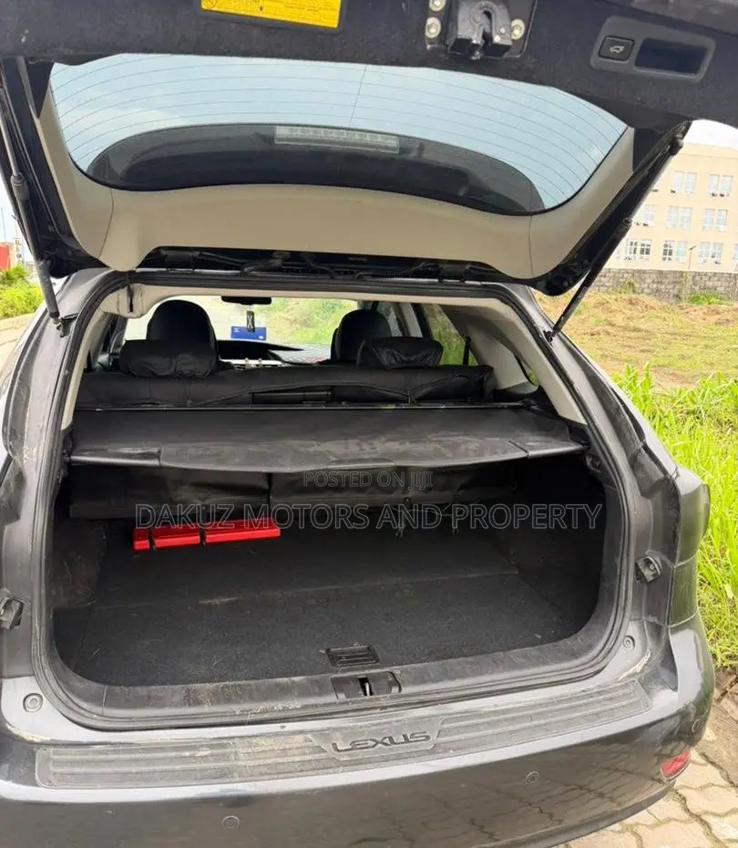 Lexus RX 2010