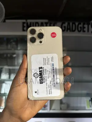 Apple iPhone 13 Pro Max 256 GB Gold