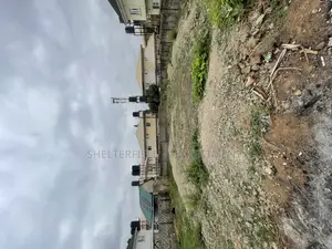 Certificate of Occupancy