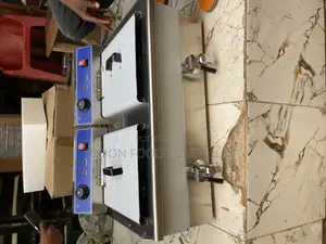 16 Litres Double Electric Fryer With Tap