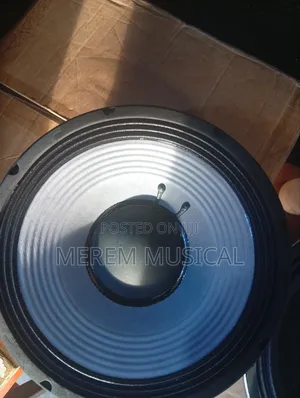 JBL 12 Inches Naked Speaker