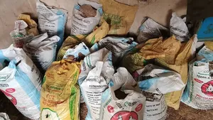 Premium Chicken Manure for Sale