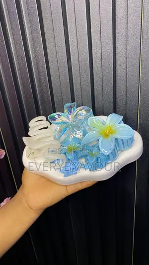 Hair Clip Set
