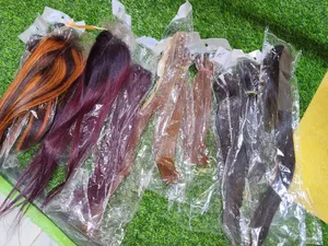 Human Hairs and Wigs