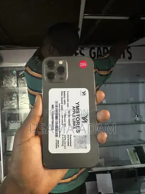 Apple iPhone 12 Pro Max 256 GB Black