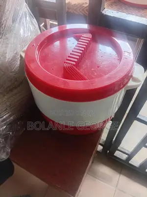 Insulated Cooler/Food Warmer