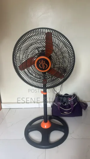 New Stan Fan