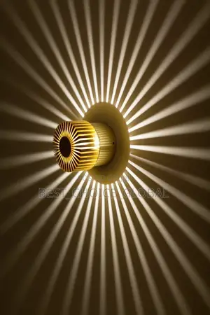 Unique Wall/Ceiling Light