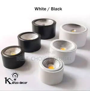 Led Surface Light Cob