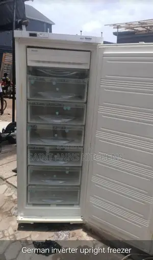German Inverter Upright Freezer
