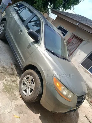 Hyundai Santa Fe 2009 Brown