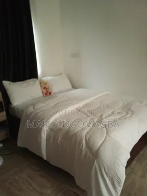 Professional Home Apartment Cleaning Services