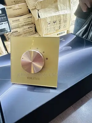 Gold Color Volume Controller